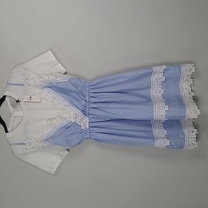 Anthropologie Blue and White Lace Trim Dress